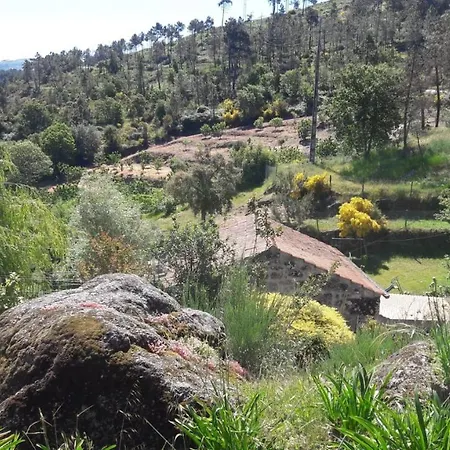 Quinta Da Mal-disposta, * Resende