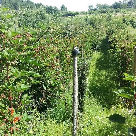 Quinta Da Mal-disposta, *