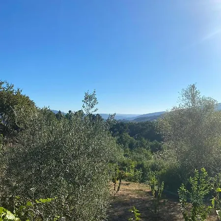 Quinta Da Mal-disposta, Resende