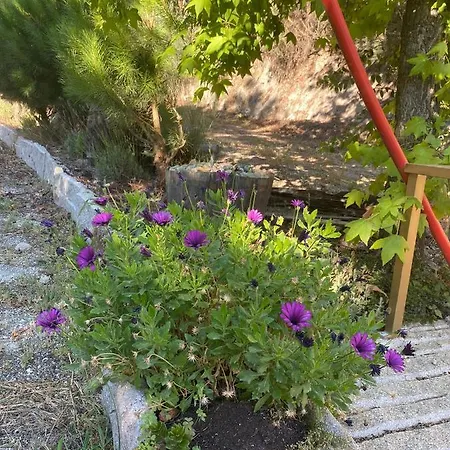 Quinta Da Mal-disposta, 레센데