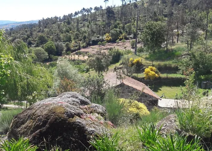 Quinta Da Mal-disposta, * Resende
