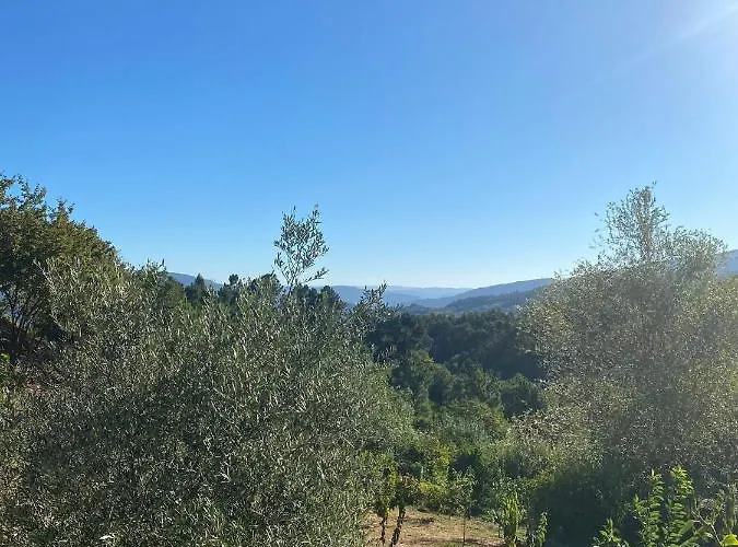 Quinta Da Mal-disposta, Resende