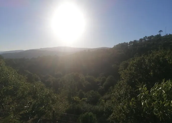 Quinta Da Mal-disposta, * Resende