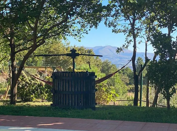 Quinta Da Mal-disposta, Σαλέ *