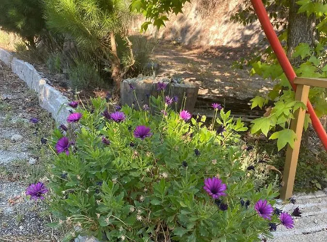 Quinta Da Mal-disposta, Resende